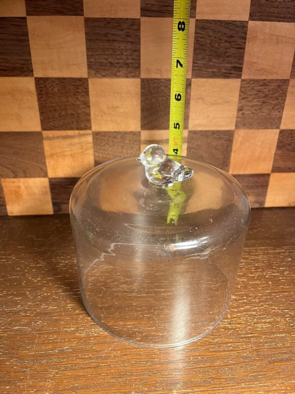 Clear Glass Cloche with Bird Handle A810